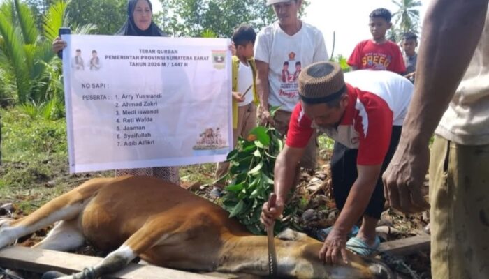 Pemprov Tebar Qurban 2026 di Mentawai Tepat Sasaran