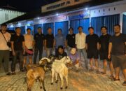 Dua Pria Dibekuk Polisi Saat Mau Jual Kambing Hasil Curian