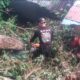 Hujan & Angin Kencang, Pohon Besar Tumbang Timpa Rumah di Lubuk Begalung