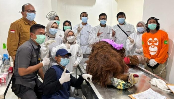 RSHP FK UNP Jadi Fasilitas Pemeriksaan Orangutan