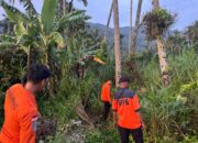 Balita Diduga Hanyut di Sungai Pasaman, Tim SAR Lakukan Pencarian