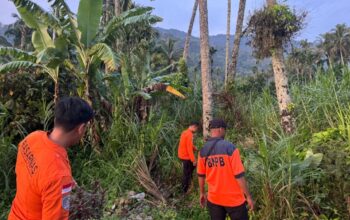 Balita Diduga Hanyut di Sungai Pasaman, Tim SAR Lakukan Pencarian