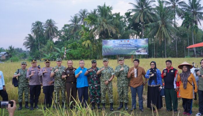 Panen Serentak, Danrem 032/Wbr Ikut Panen Raya di Kuranji Padang
