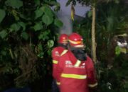 Kebakaran Lahan Kosong Merembet ke Rumah di Dadok Tunggul Hitam