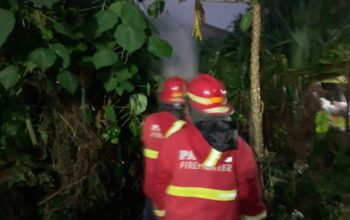 Kebakaran Lahan Kosong Merembet ke Rumah di Dadok Tunggul Hitam