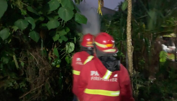 Kebakaran Lahan Kosong Merembet ke Rumah di Dadok Tunggul Hitam
