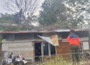 Pohon Lansano Tumbang Timpa Rumah dan Kabel Listrik di Koto Tangah Padang