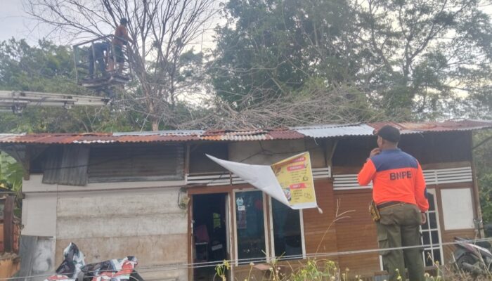 Pohon Lansano Tumbang Timpa Rumah dan Kabel Listrik di Koto Tangah Padang