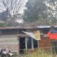 Pohon Lansano Tumbang Timpa Rumah dan Kabel Listrik di Koto Tangah Padang