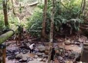 Pria 42 Tahun Hilang di Hutan Biologis Unand Padang