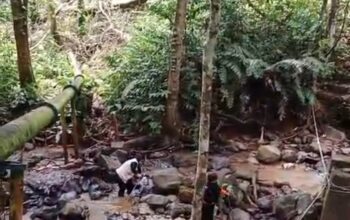 Pria 42 Tahun Hilang di Hutan Biologis Unand Padang