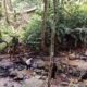 Pria 42 Tahun Hilang di Hutan Biologis Unand Padang