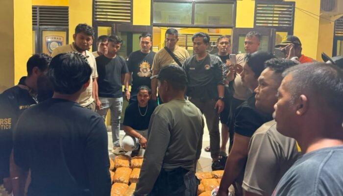 Bawa 30 Paket Kurir Ganja Antar Provinsi Ditangkap di Pasaman Barat