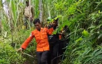 Lansia 67 Tahun yang Hilang di Hutan Tabek Agam Berhasil Ditemukan