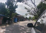 Kualitas Udara Kota Padang Menurun, BPBD Imbau Waspadai Kabut Asap Karhutla