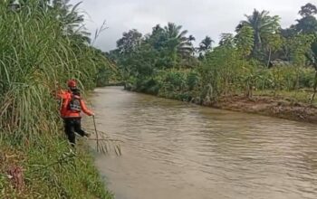 Operasi SAR Banjir Bandang Pasaman Ditutup, Korban Ditemukan MD
