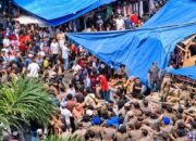 Penertiban Lapak di Pasar Raya Padang Ricuh, Pedagang Tolak Pembongkaran