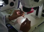 Prodi Biologi UNP Gandeng Akademisi Korsel Bedah Teknik Isolasi Gamet